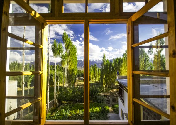Cost of Wood Window Replacement in Camas